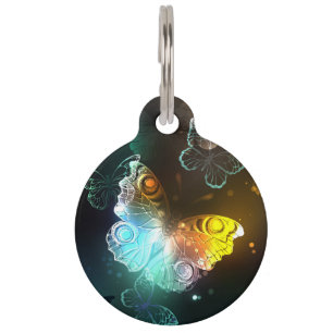 Placa Para Mascotas Mariposa luminosa y mariposas nocturnas