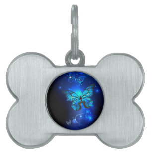 Placa Para Mascotas Mariposa morfo en el fondo oscuro