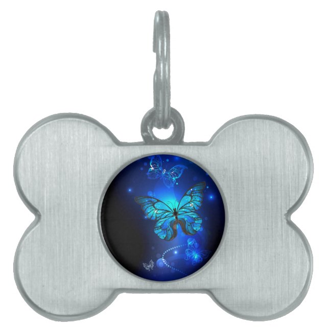 Placa Para Mascotas Mariposa morfo en el fondo oscuro (Frente)
