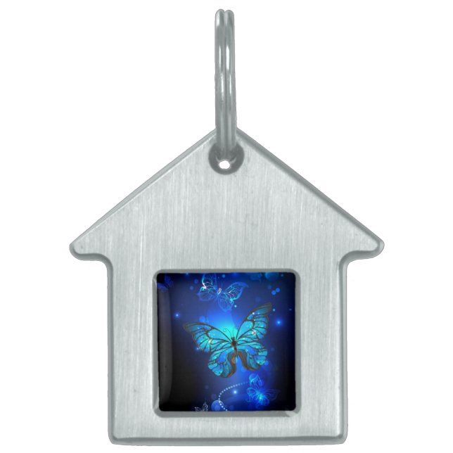 Placa Para Mascotas Mariposa morfo en el fondo oscuro (Frente)