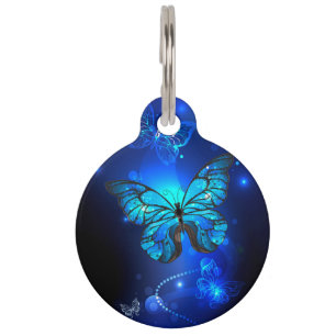 Placa Para Mascotas Mariposa morfo en el fondo oscuro