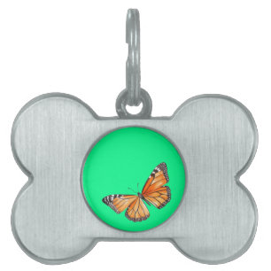 Placa Para Mascotas Mariposa verde lima