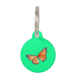 Placa Para Mascotas Mariposa verde lima
