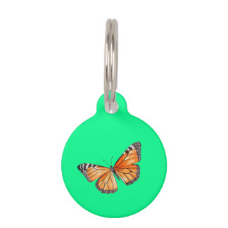 Placa Para Mascotas Mariposa verde lima