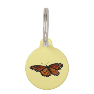 Placa Para Mascotas Mariposa Viceroy Hermosa Fotografía de la Naturale