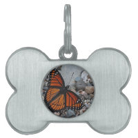 Mariposa y piedras