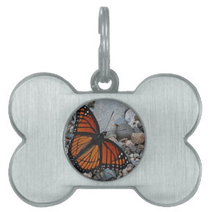 Placa Para Mascotas Mariposa y piedras
