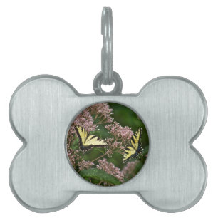 Placa Para Mascotas Mariposas de cola de toro de tigre en Joe Pye Weed