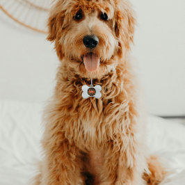 Placa Para Mascotas Mariposas monarca multicolor negro