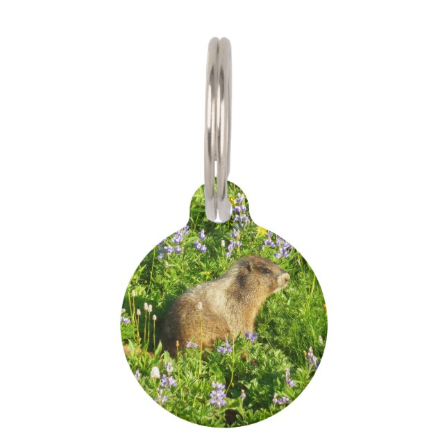 Placa Para Mascotas Marmot en Mont Rainier Wildflowers (Anverso)