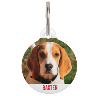 Placa Para Mascotas Mascota Beagle Dog Photo Personalizada