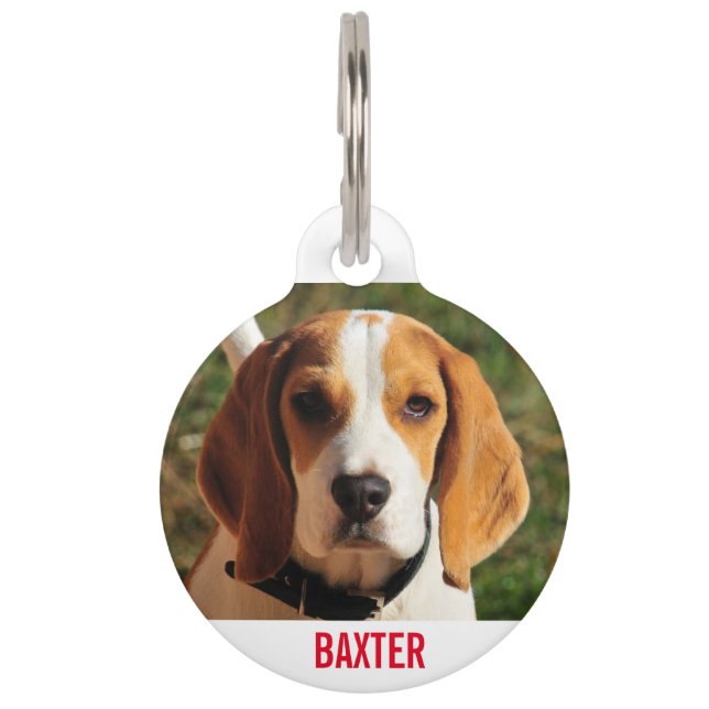 Placa Para Mascotas Mascota Beagle Dog Photo Personalizada (Anverso)