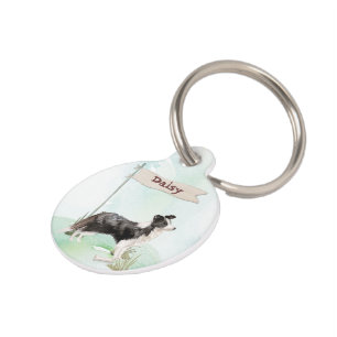 Placa Para Mascotas Mascota de color de borde de nombre personalizado 