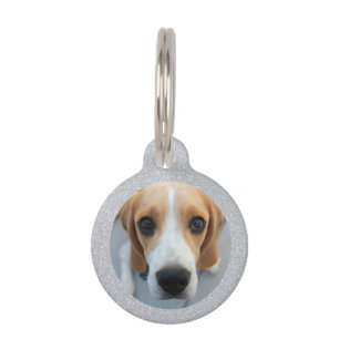 Placa Para Mascotas Mascota de Purpurina Plata - Foto de Personalizado