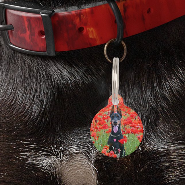 Placa Para Mascotas Mascota Dog Cat ID Perdida Foto Texto personalizad (Subido por el creador)