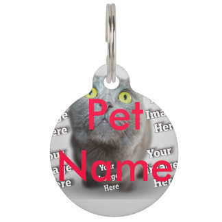 Placa Para Mascotas MASCOTA Foto ✨ encantador Personalizado