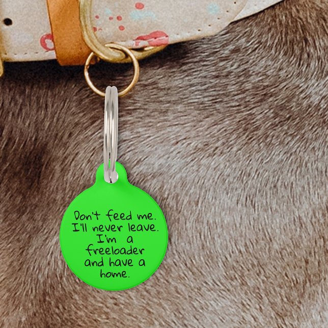 Placa Para Mascotas Mascota Gato Gato Gato Divertido Humor Personaliza (Subido por el creador)
