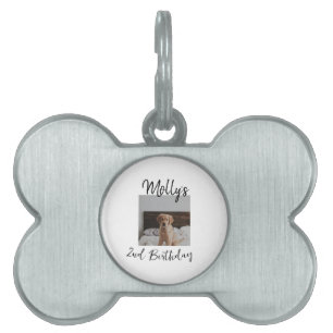Placa Para Mascotas Mascota gato perro foto de cumpleaños animal simpl