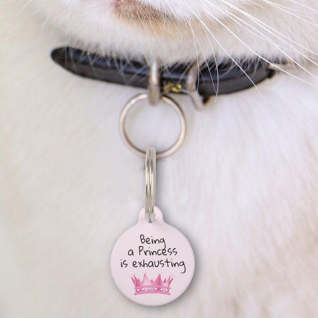 Placa Para Mascotas Mascota Gato Perro Gracioso Princesa Personalizar  (Subido por el creador)