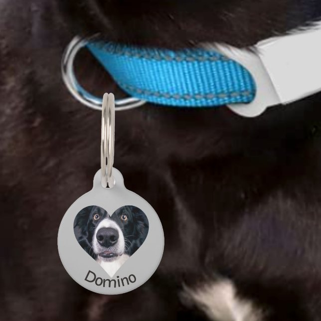 Placa Para Mascotas Mascota Perdido ID de Personalizar de fotografía d (Subido por el creador)
