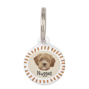 Placa Para Mascotas Mascota Perro Gato Divertido Nombre de foto Person