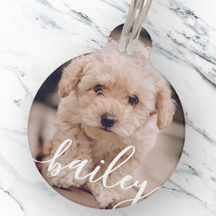 Placa Para Mascotas Mascota Simple y Elegante Moda Nombre y foto