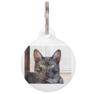 Placa Para Mascotas mau egipcio
