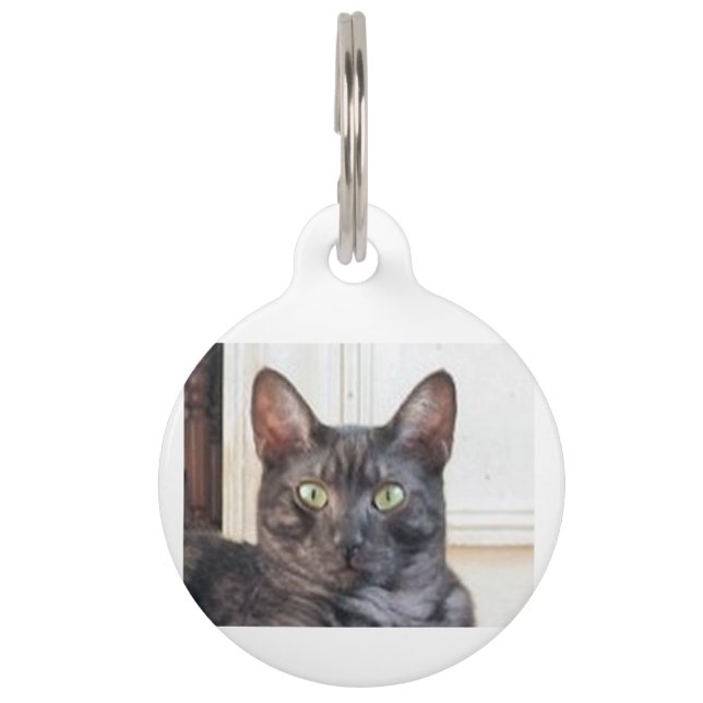 Placa Para Mascotas mau egipcio (Anverso)