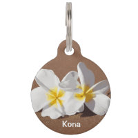 Maui Plumeria en la playa