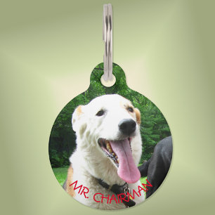 Placa Para Mascotas Me NECESITAN —