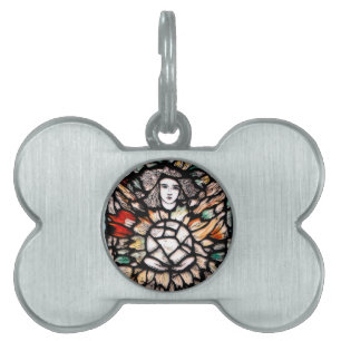 Placa Para Mascotas Meditación en colores.