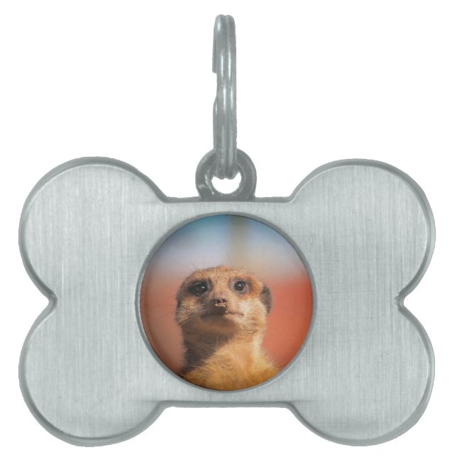 Placa Para Mascotas Meerkat_2015_0401 (Frente)