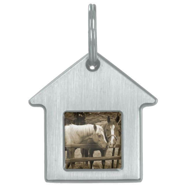 Placa Para Mascotas Mejores amigos (Frente)