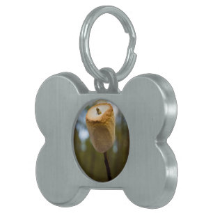 Placa Para Mascotas Melcochas de la asación
