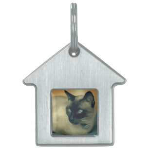 Placa Para Mascotas Mi etiqueta de mascota de gato