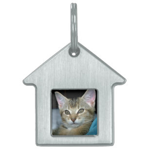 Placa Para Mascotas Mi Gato 3 Etiqueta de Mascota