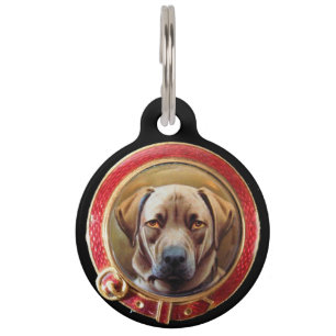 Placa Para Mascotas MINIATURA RETRATOS DE PERRO Chocolate Labrador