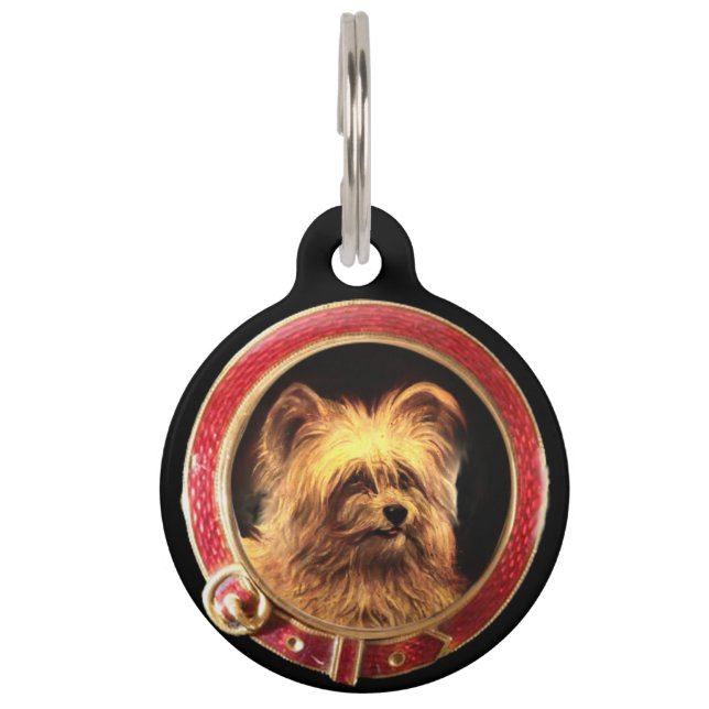 Placa Para Mascotas MINIATURA VICTORIANA RETRATA A Skye Terrier (Anverso)