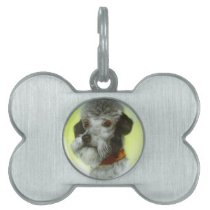 Placa Para Mascotas MINIATURA VICTORIANA RETRATOS DE PERRO Airedale Te