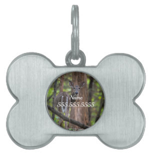Placa Para Mascotas Mirando hacia atrás la etiqueta de identificación