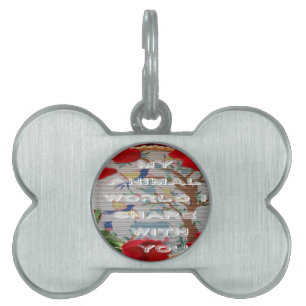 Placa Para Mascotas Mis animales valentina del mundo.png