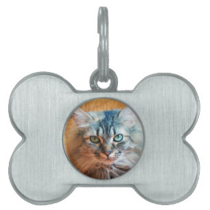 Placa Para Mascotas Miss Tootles