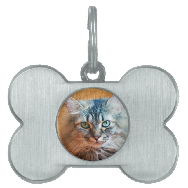 Placa Para Mascotas Miss Tootles (Frente)