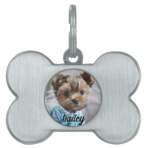 Placa Para Mascotas Moderna Moda elegante Mascota Nombre sencillo y fo