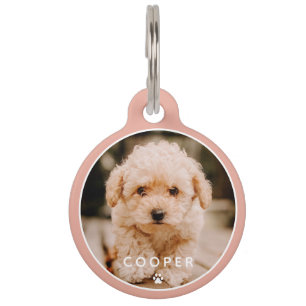 Placa Para Mascotas Moderna, sencilla y elegante foto de un Mascota de