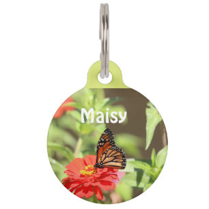 Placa Para Mascotas Monarca de Octubre