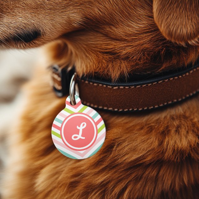 Placa Para Mascotas Monograma del cheurón de flecha colorida (Subido por el creador)