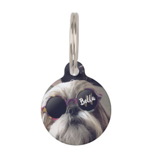 Placa Para Mascotas Monograma vintage retro de gafas Cool Shih Tzu Fot