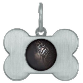 Placa Para Mascotas Moon Frond