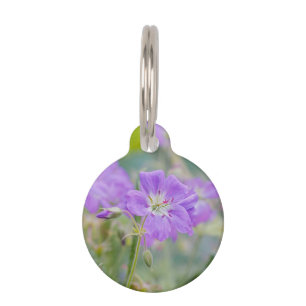 Placa Para Mascotas Morado Geranium Wildflower Foto Botánica